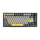 Wireless Gaming Mechanical Keyboard AK820 PRO - Flying Fish [Linear] (English US), Black, Gray