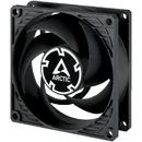 Arctic Fan 80mm P8 Max - 2Ball - 500-5000rpm