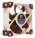 Noctua Вентилатор Fan 80mm NF-A8-PWM