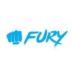 Fury