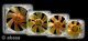 Fan 120mm Amber, 2 BB, Ultra Quiet - AK-183-L2B