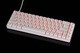 Professional Gaming Mechanical Keyboard FIRE 68 RGB - 8K, Gateron Dual-Rail Magnetic Switches [Linear], RGB - White