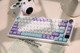 Wireless Gaming Mechanical Keyboard AK820 PRO - Flying Fish [Linear] (English US), Purple