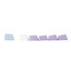 Wireless Gaming Mechanical Keyboard AK820 PRO - Flying Fish [Linear] (English US), Purple