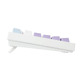 Wireless Gaming Mechanical Keyboard AK820 PRO - Gift Switch [Linear] (English US), Purple, White, Blue