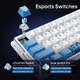 професионална геймърска механична клавиатура Professional Gaming Mechanical Keyboard EDGE 60 HE Master Leviatan - 8K, Gateron Jade Pro Switches