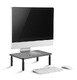Стойка за монитор Monitor stand - MS-TABLE-01