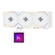 Water Cooling HydroShift II LCD-S 360TL WHITE