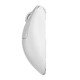 Wireless Gaming Mouse Xlite v4 Size3 White - 1K (8K compatible)