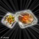 Fan 92mm Amber 2Ball