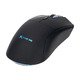 Gaming Mouse Wireless GW-613