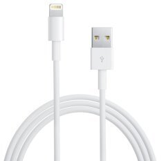 Apple iPhone 5 Lighting/USB data - CU273-1-1m