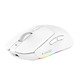 AJ139 V2 MC - Wireless Gaming Mouse - 1K, Magnetic Charging Dock, White AJ139 V2 MC - Wireless Gaming Mouse - 1K, Magnetic Charging Dock, White