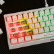 Gaming Mechanical keyboard 61 keys TKL Hecate 61R WH - KG962G White - RED switches, RGB Gaming Mechanical keyboard 61 keys TKL Hecate 61R WH - KG962G White - RED switches, RGB