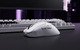 Wireless Gaming Mouse Xlite v4 Size3 White - 1K (8K compatible) Wireless Gaming Mouse Xlite v4 Size3 White - 1K (8K compatible)