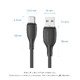 USB 2.0 AM / USB-C M 0.25m - CTWWC USB 2.0 AM / USB-C M 0.25m - CTWWC